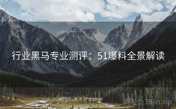 行业黑马专业测评：51爆料全景解读